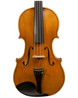 Danio Wu Violin Front Body