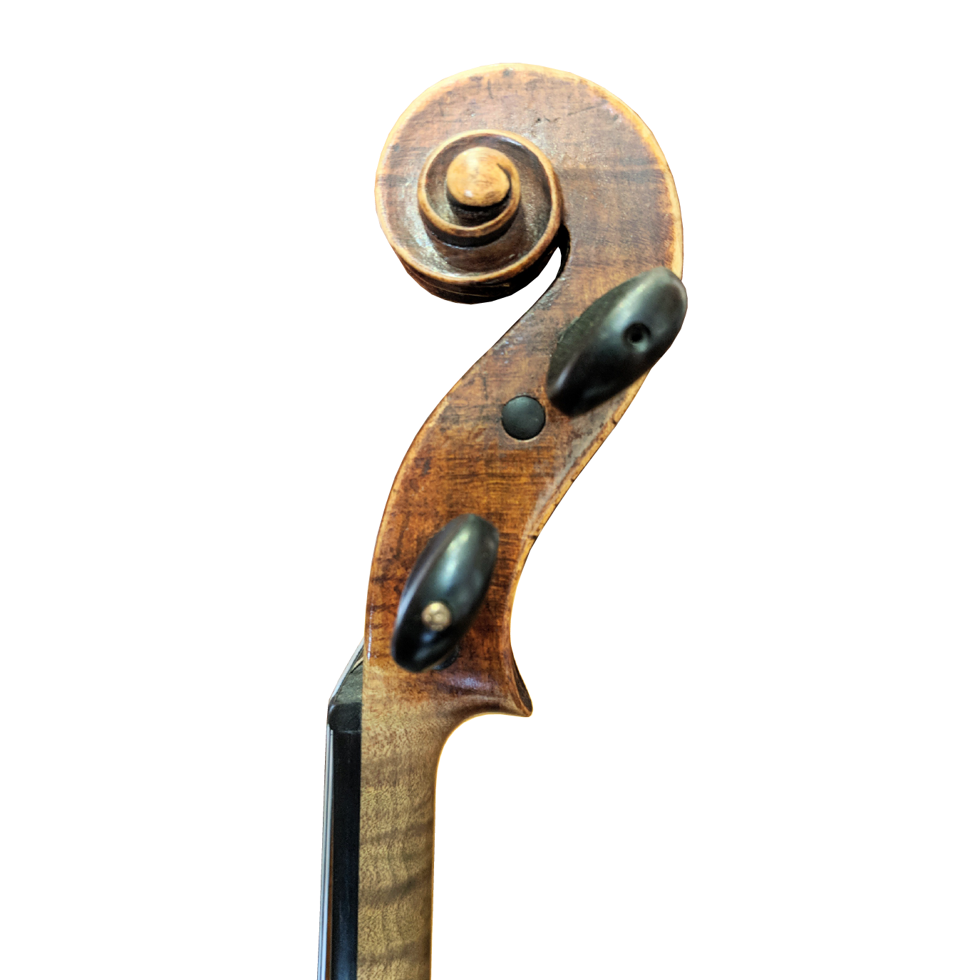 Carcassi German Violin Copy - Image 4