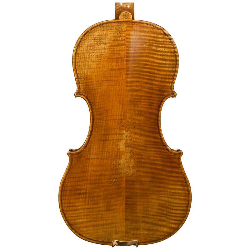 Stefan Petrov Workshop Violin Rear Body