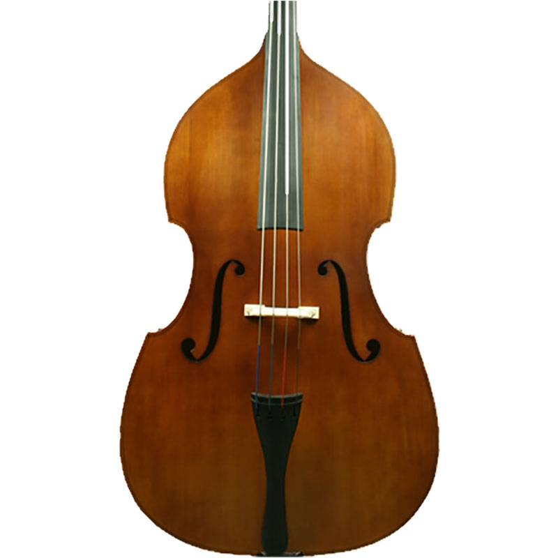 Ametto VB100 Bass Front Body