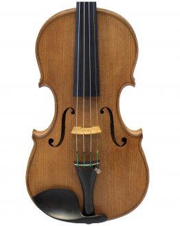 Paul Ritter Violin front body