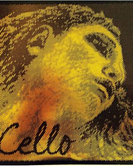 Evah Pirazzi Gold Cello